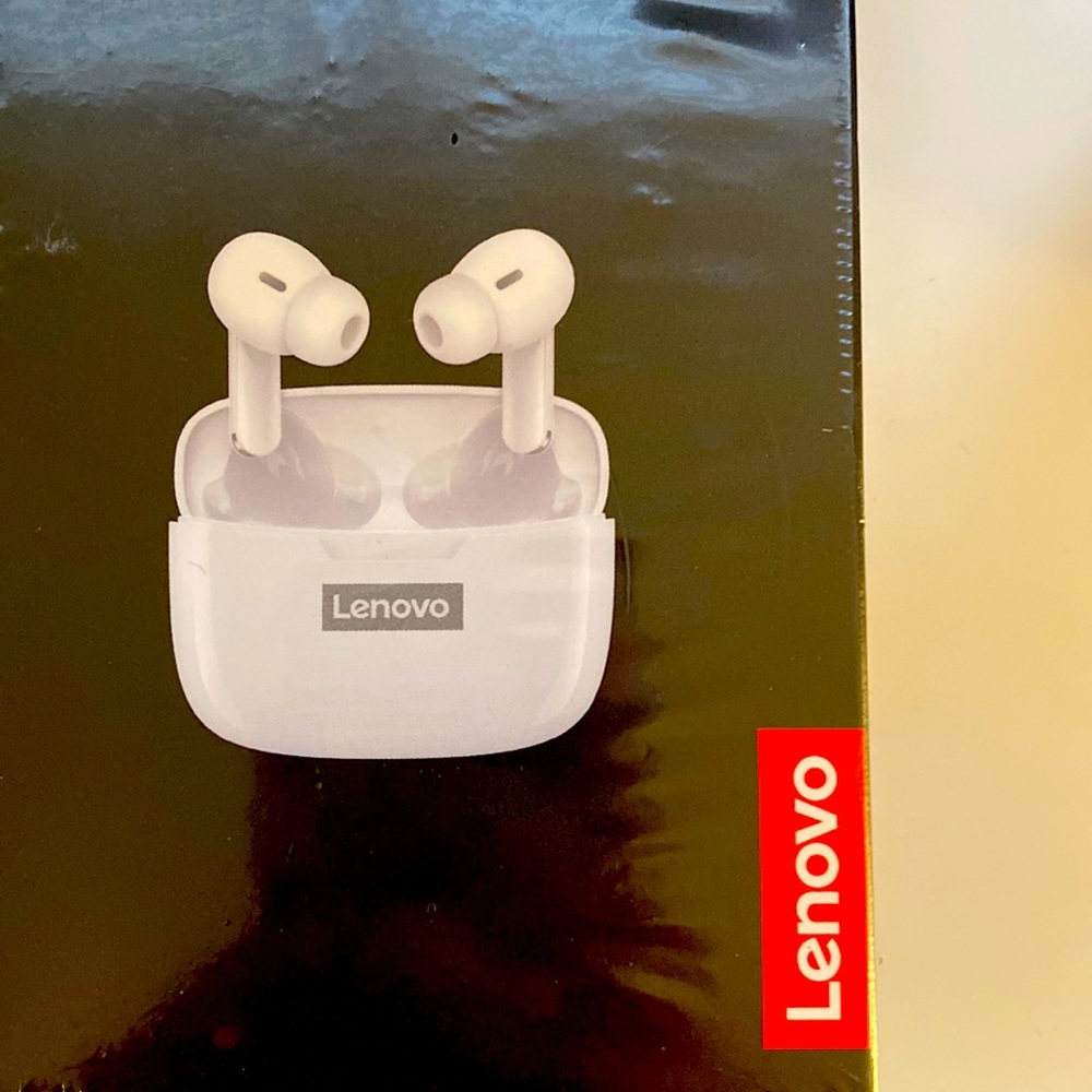 Earphones